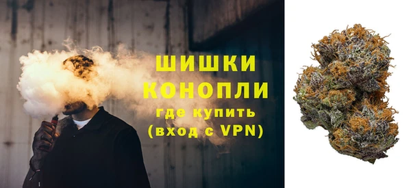 трава Балахна