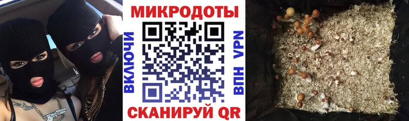 Галлюциногенные грибы MAGIC MUSHROOMS  цены наркотик  кракен вход  Спасск-Рязанский 